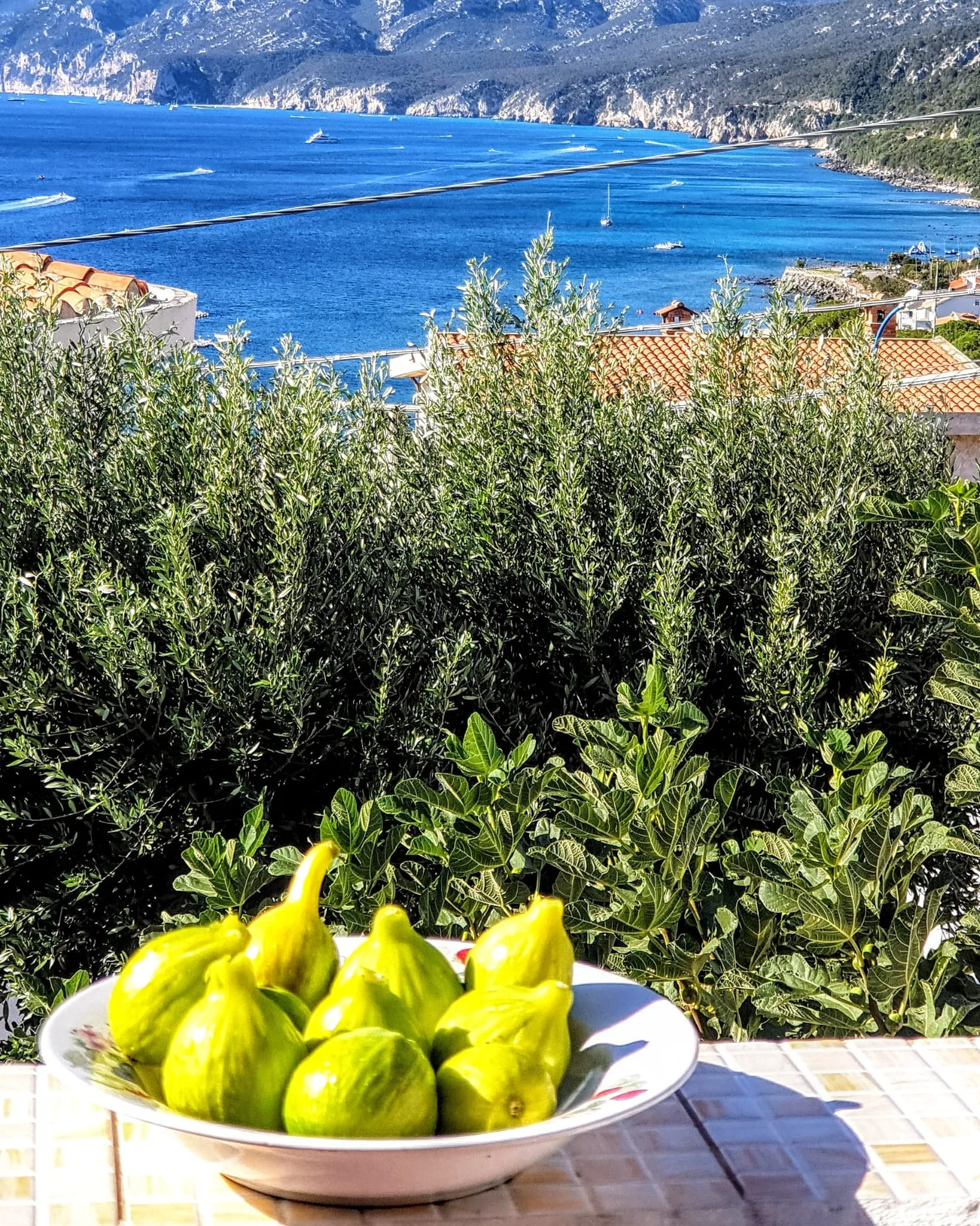 Ciotola di fichi verdi appena colti con il mare blu del Golfo di Orosei e gli ulivi sullo sfondo