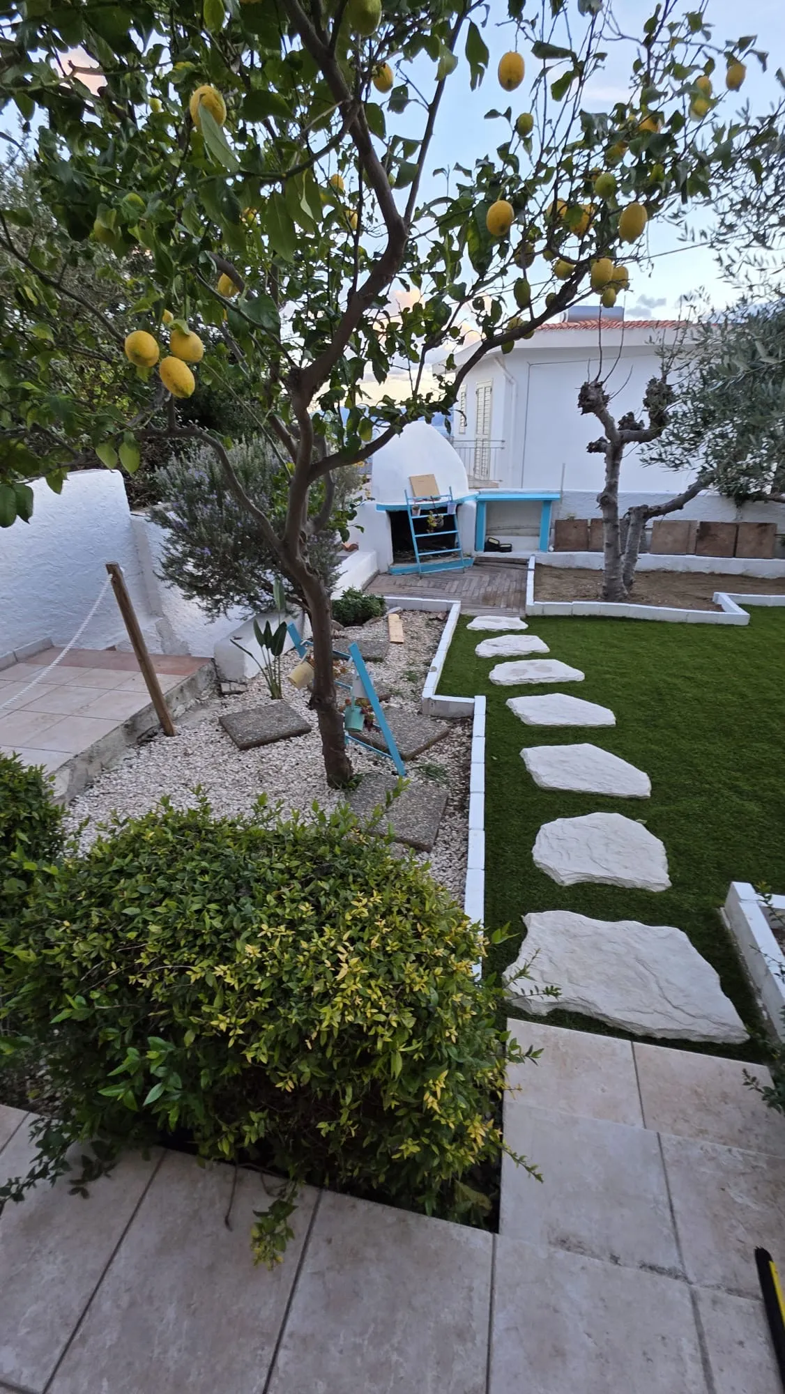 Il giardino del B&B con l’albero di limoni carico di frutti, il camminamento in pietra sul prato e il forno a cupola bianco