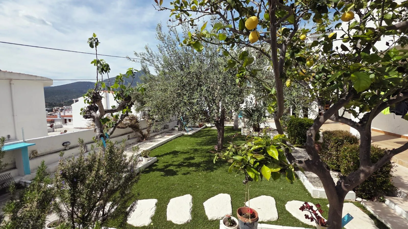 Il giardino visto dall’alto: l’albero di limoni carico di frutti, il prato e il camminamento in pietre bianche